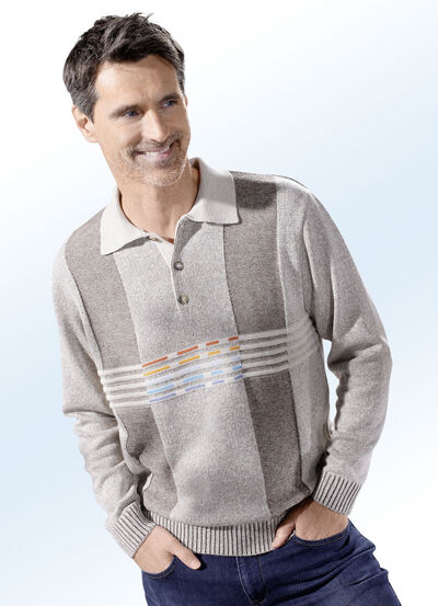 Stilvoller Polopullover 