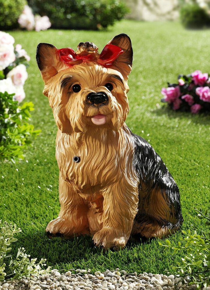 Bewegungsmelder «Terrier» 