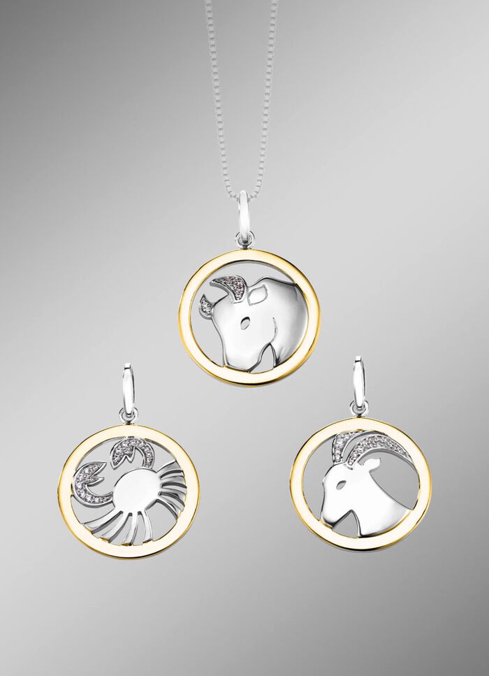 Sternzeichen-Anh&auml;nger  