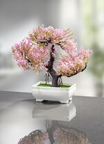 Blühender Bonsai 