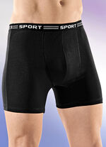 Viererpack Pants aus Feinjersey, uni bunt 