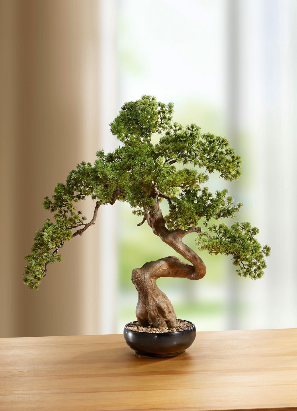 pomegranate bonsai Dwarf Pomegranate Bonsai Tree